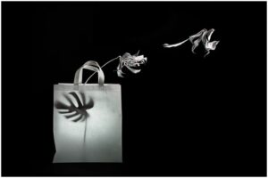 01-Taschenausflug-19c92d86a97313a11ecf1a52a27dae63