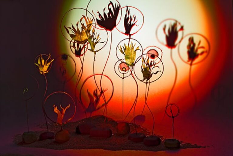 Steinblten-bei-Nacht-648e51f93b03b178e567de849bee3f4b