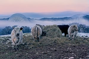 Radioteleskop Effelberg
